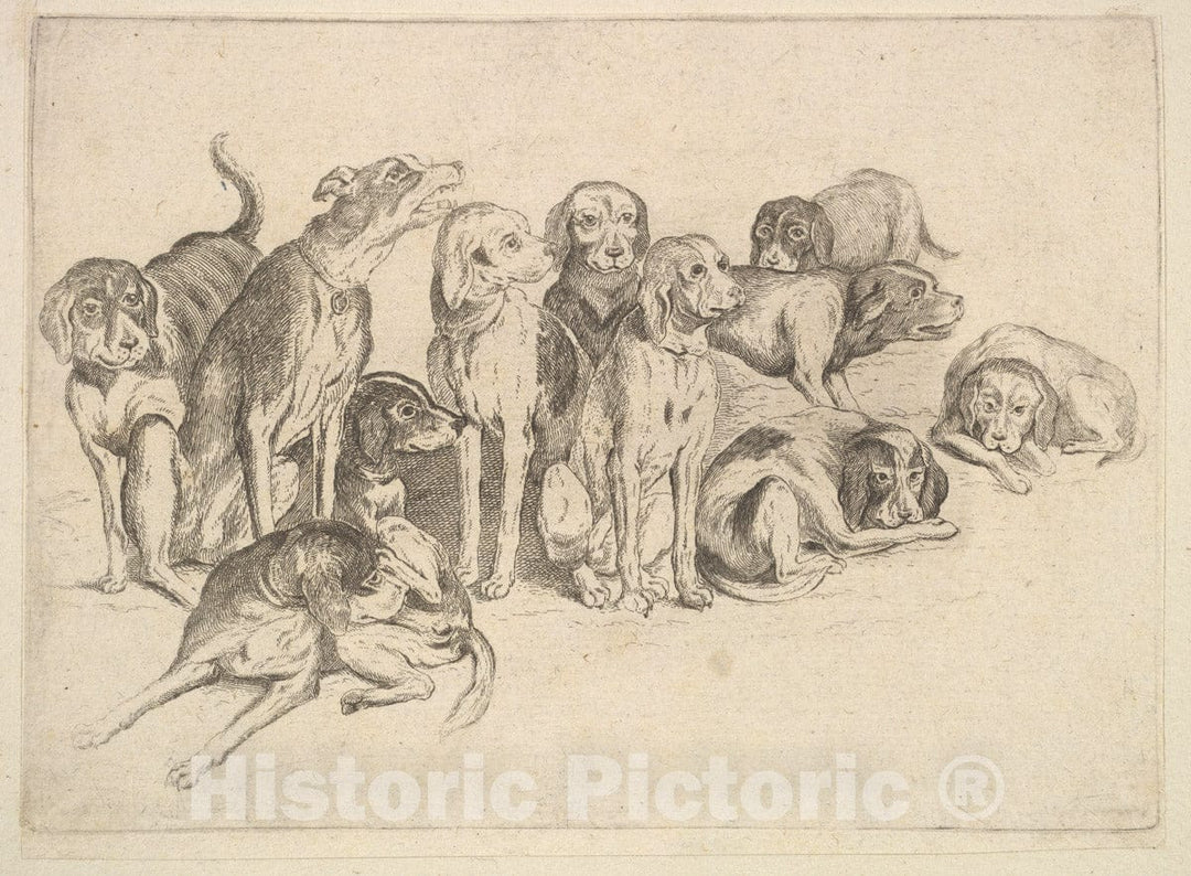 Art Print : Wenceslaus Hollar - Eleven Hounds : Vintage Wall Art