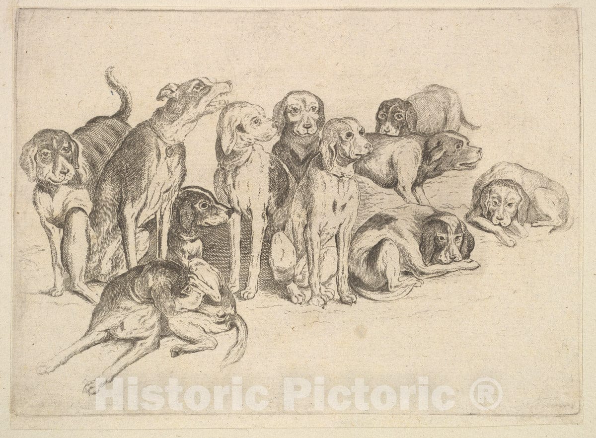 Art Print : Wenceslaus Hollar - Eleven Hounds : Vintage Wall Art