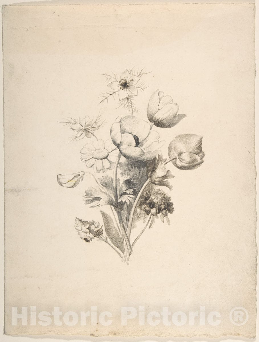 Art Print : Antoine Berjon - Floral Design - 437495 : Vintage Wall Art