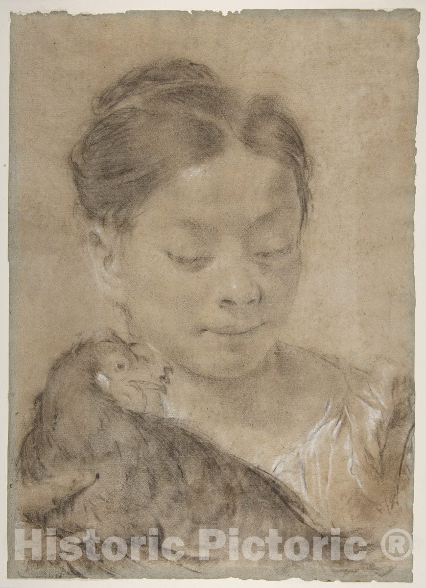 Art Print : Giovanni Battista Piazzetta - Girl with a Hen : Vintage Wall Art