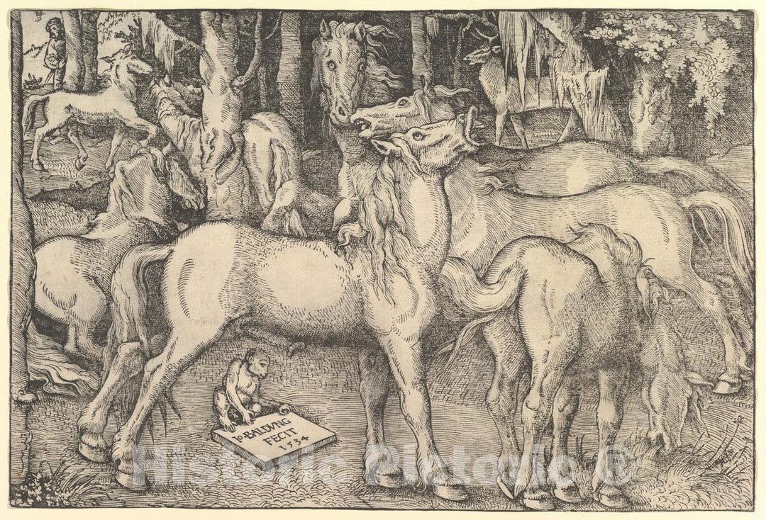 Art Print : Hans Baldung (Called Hans Baldung Grien) - Group of Seven Horses : Vintage Wall Art