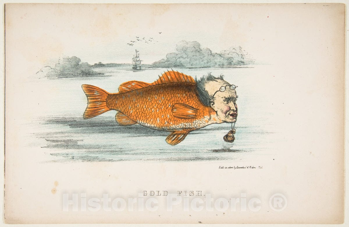 Art Print : Henry Louis Stephens - Gold Fish (Francis M. Drexel), from The Comic Natural History of The Human Race : Vintage Wall Art