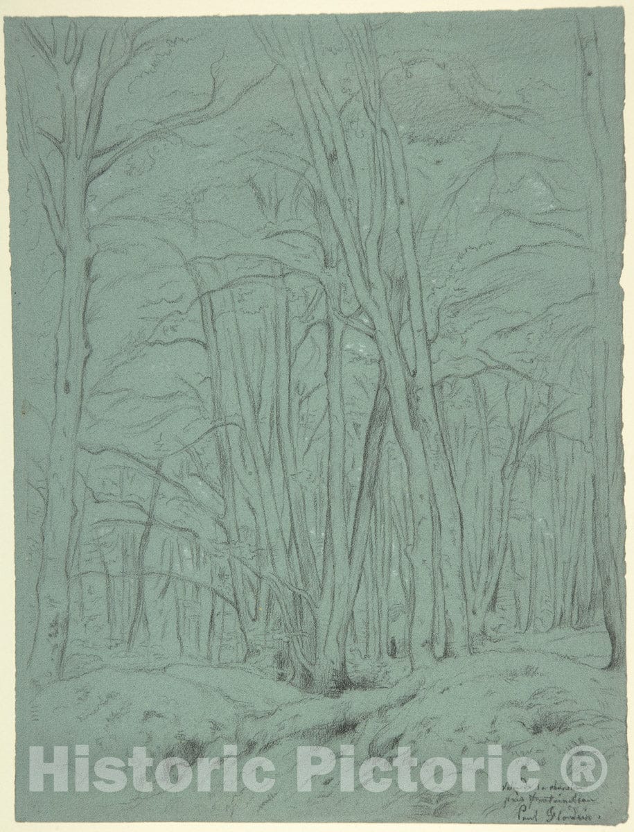 Art Print : Paul Flandrin - Forest View Near Fontainebleau : Vintage Wall Art