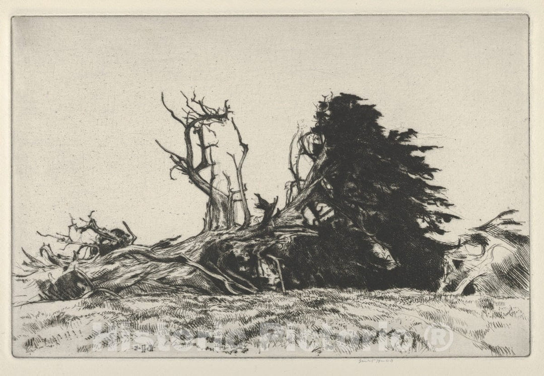 Art Print : Ernest Haskell - Fallen Centuries : Vintage Wall Art
