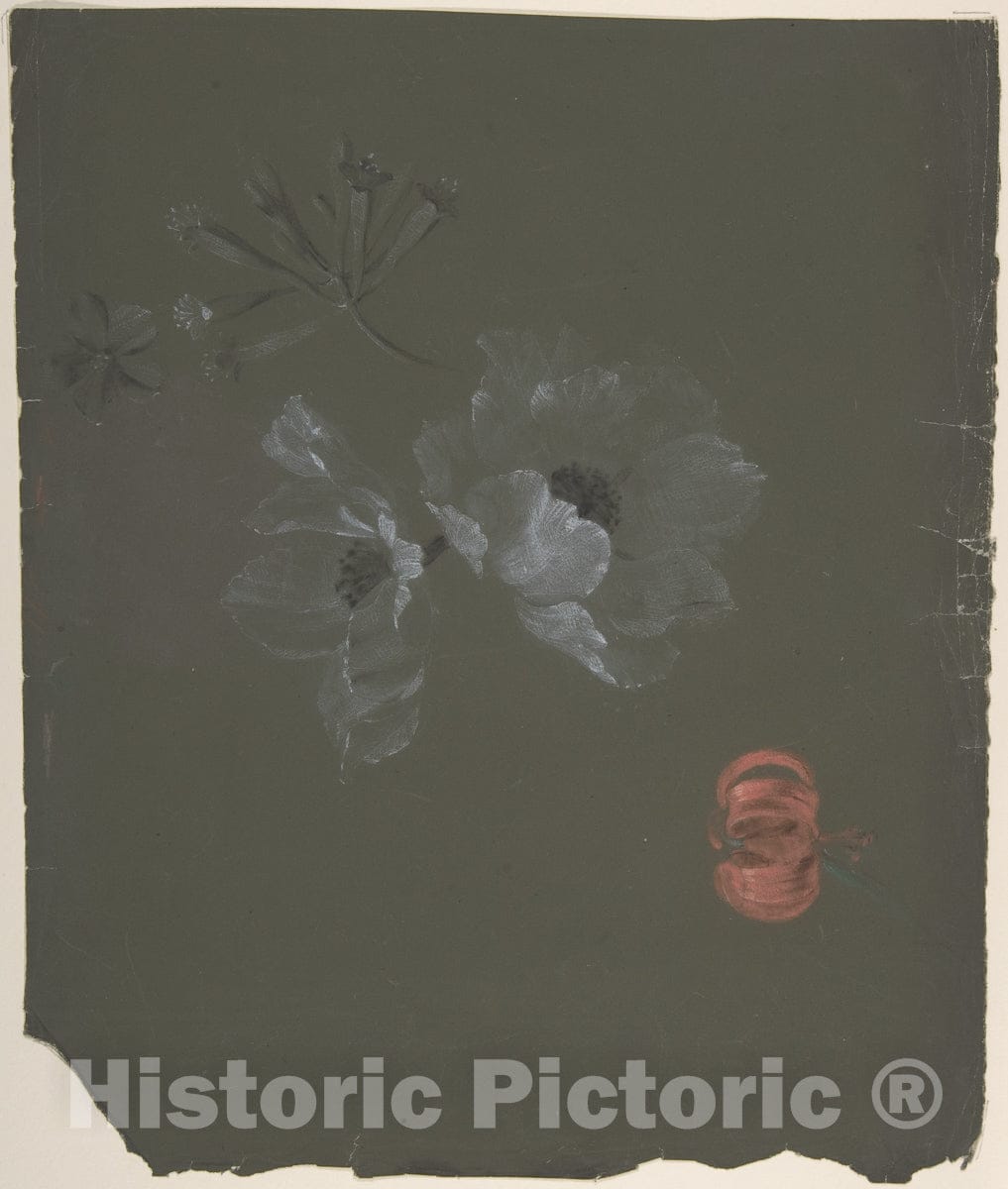 Art Print : Antoine Berjon - Floral Design - 439524 : Vintage Wall Art