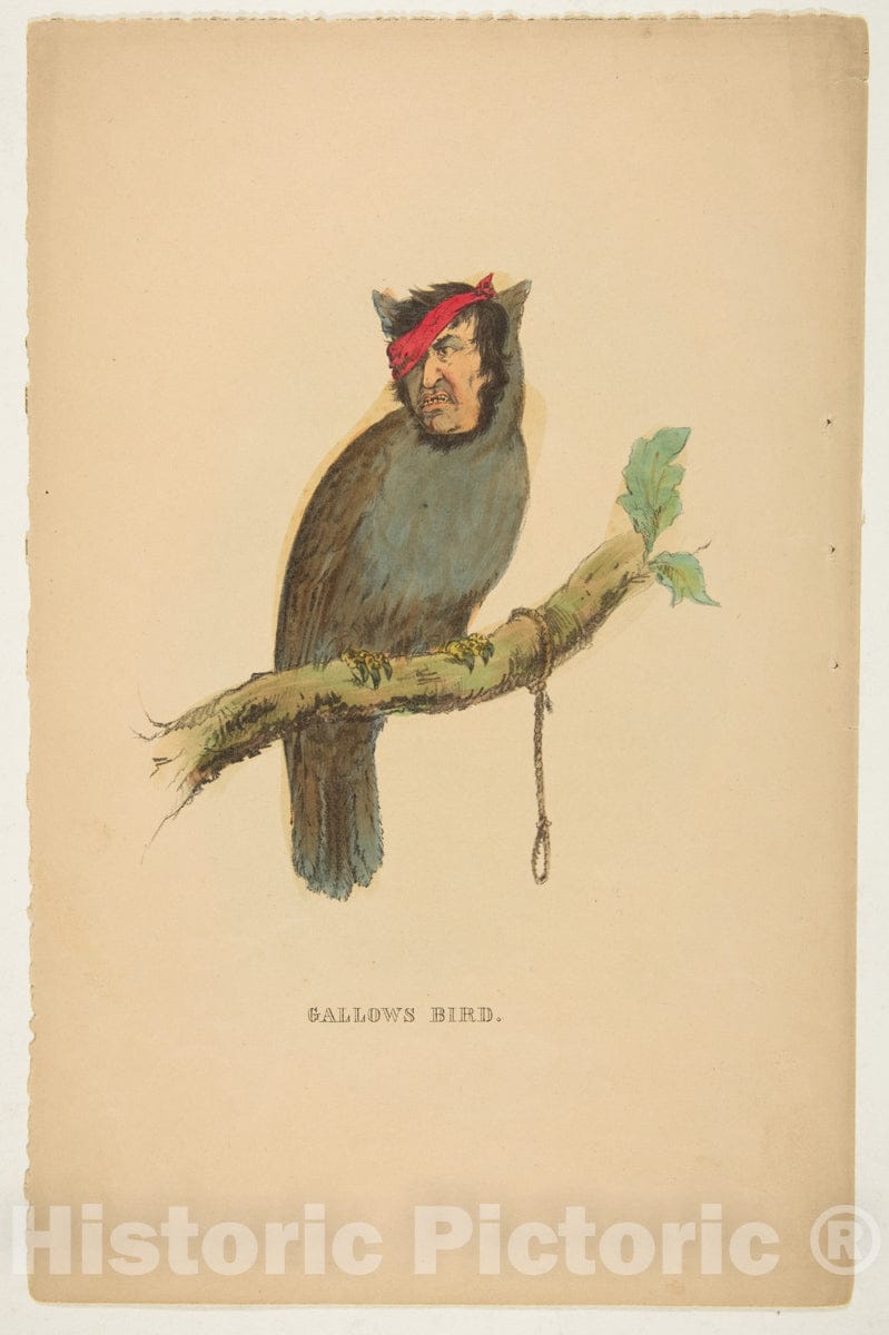 Art Print : Henry Louis Stephens - Gallows Bird, from The Comic Natural History of The Human Race : Vintage Wall Art