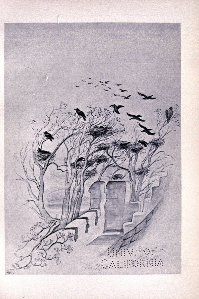 Birds from Moidart and elsewhere /.Edinburgh :David Douglas,1895.  | Birds Scotland  | Vintage Print Reproduction 462385