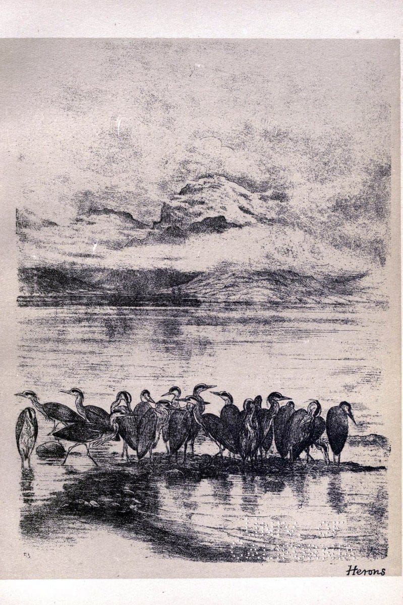 Birds from Moidart and elsewhere /.Edinburgh :David Douglas,1895.  | Birds Scotland  | Vintage Print Reproduction 462392