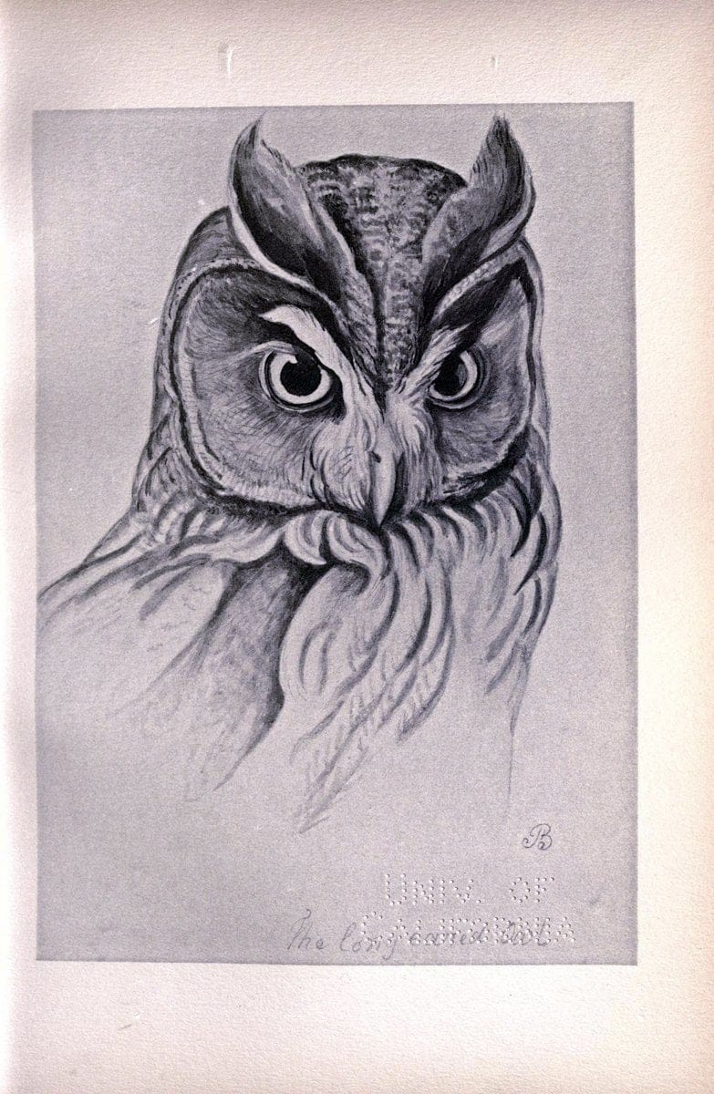 Birds from Moidart and elsewhere /.Edinburgh :David Douglas,1895.  | Birds Scotland  | Vintage Print Reproduction 462410