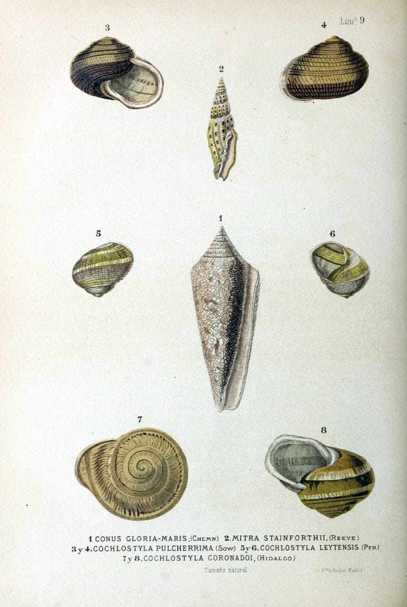 Bosquejo geograÃŒÂfico eÃŒÂ histoÃŒÂrico-natural del archipieÃŒÂlago Filipino por Don Ramon | "Description and travel" "Natural history" Philippines | Vintage Print Reproduction 463037