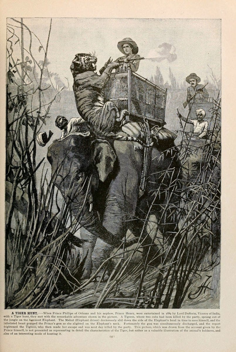 Brehm's Life of animals : Volume 1, MammaliaChicago :Marquis,1895. | "Animal behavior" Mammals  | Vintage Print Reproduction 463231