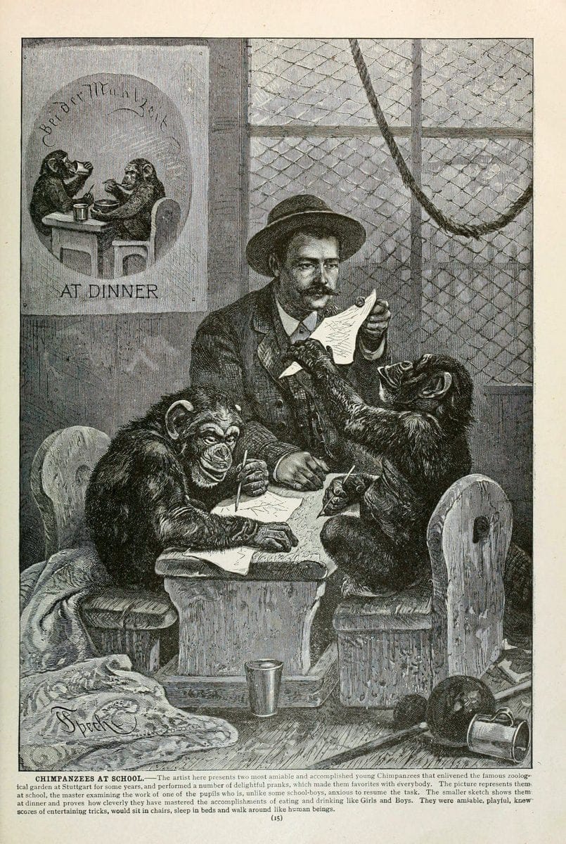 Brehm's Life of animals : Volume 1, MammaliaChicago :Marquis,1895. | "Animal behavior" Mammals  | Vintage Print Reproduction 463275