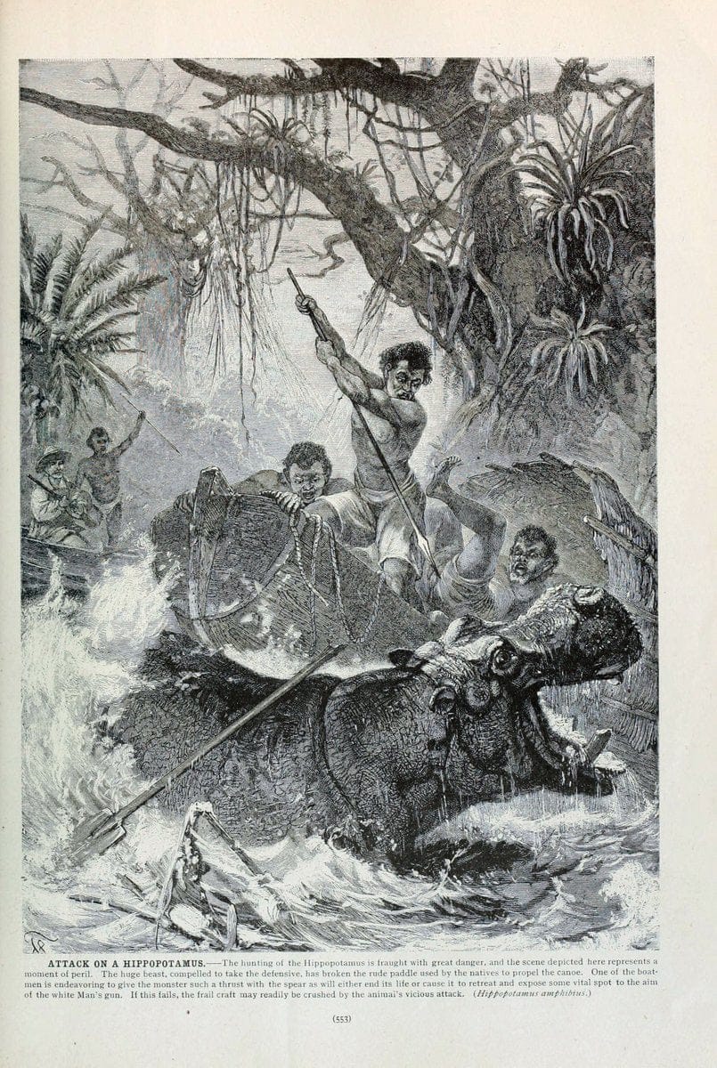 Brehm's Life of animals : Volume 1, MammaliaChicago :Marquis,1895. | "Animal behavior" Mammals  | Vintage Print Reproduction 463319