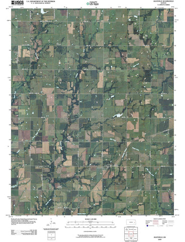 2009 Aliceville, KS - Kansas - USGS Topographic Map