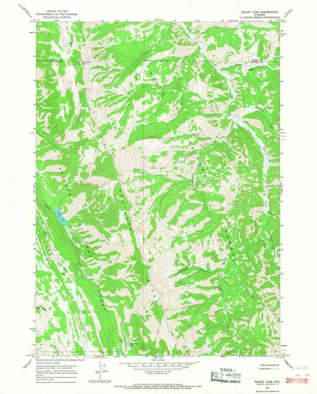 1965 Bailey Lake, WY - Wyoming - USGS Topographic Map