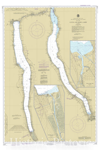 Historic Nautical Map - Cayuga And Seneca Lakes, 1977 NOAA Chart - New York (NY) - Vintage Wall Art
