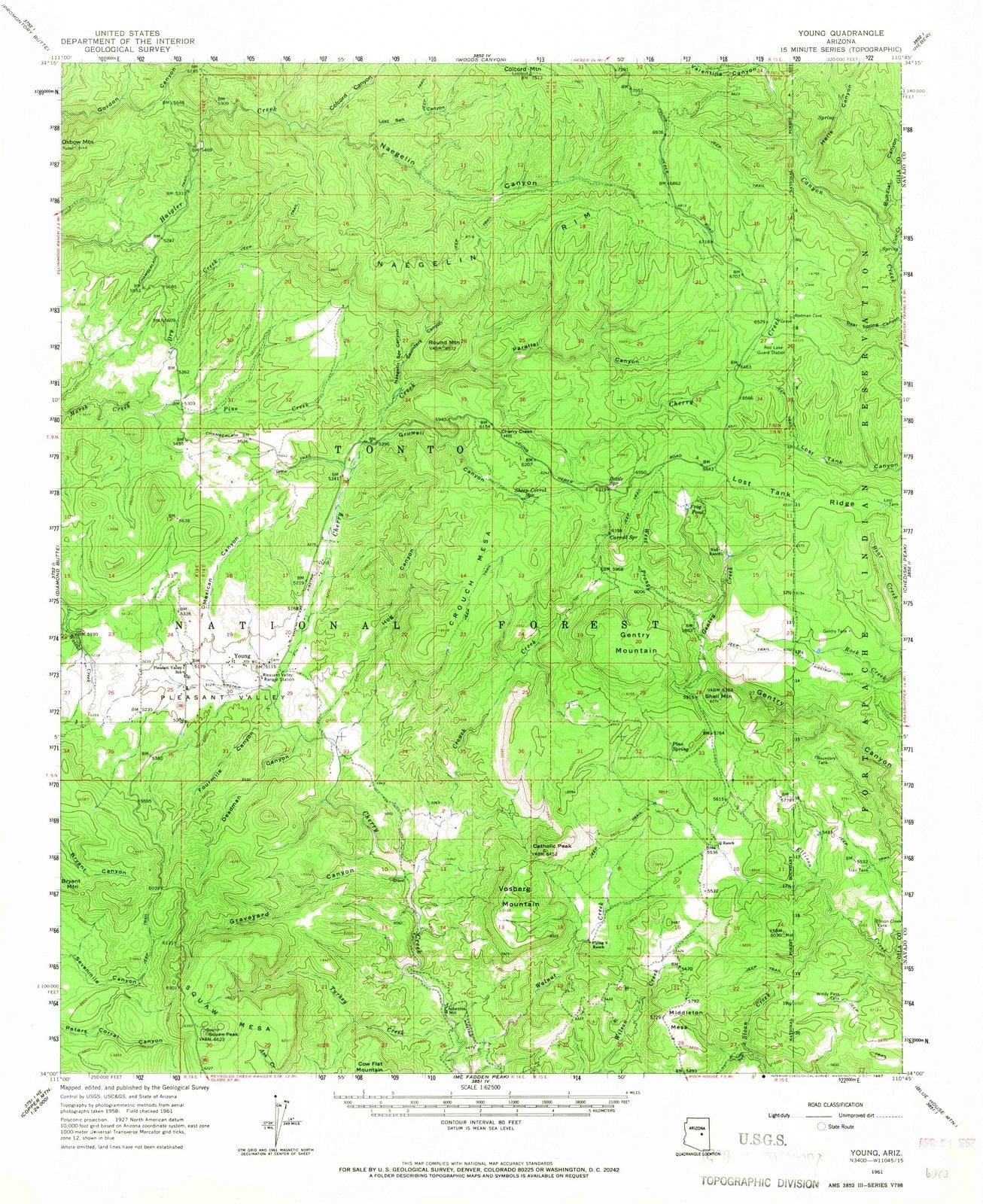 1961 Young, AZ - Arizona - USGS Topographic Map