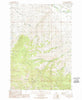 1989 Sal Mountain, ID - Idaho - USGS Topographic Map