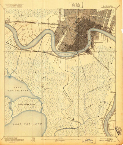 1891 New Orleans, LA  - Louisiana - USGS Topographic Map