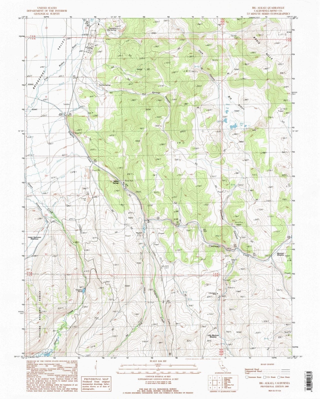 1989 Big Alkali, CA - California - USGS Topographic Map