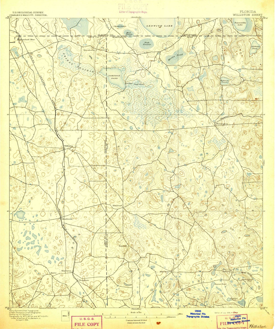 1895 Williston, FL - Florida - USGS Topographic Map