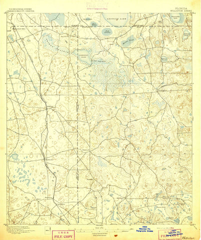 1895 Williston, FL - Florida - USGS Topographic Map