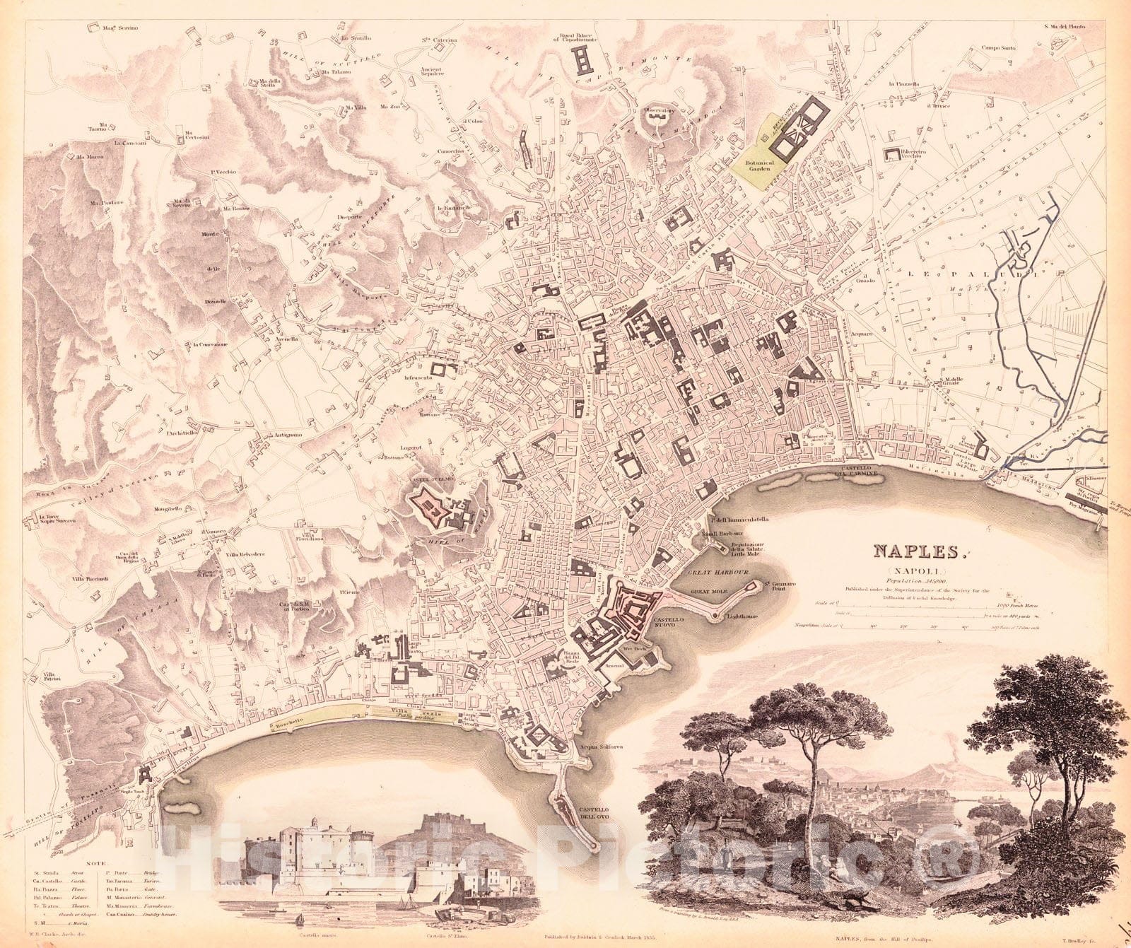 Historic Map : 1835 Naples : Vintage Wall Art