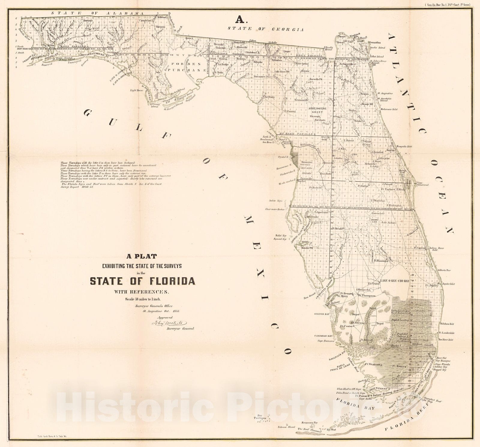 Historic Map : 1855 A Plat Exhibiting the State of the Surveys in the State of Florida : Vintage Wall Art