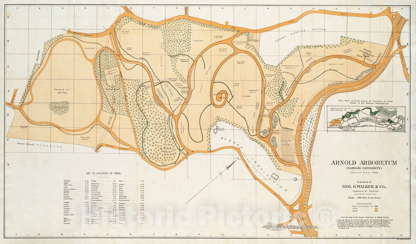 Historical Map, 1900 Map of Arnold Arboretum showing location of the trees and shrubs, Vintage Wall Art