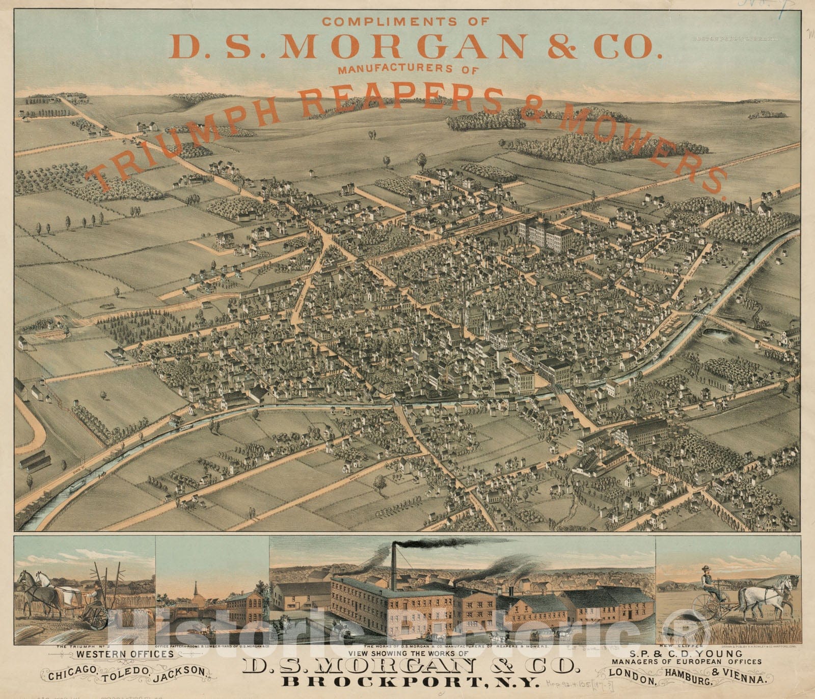 Historical Map, 1879-1881 View Showing The Works of D.S. Morgan & Co, Brockport, N.Y, Vintage Wall Art