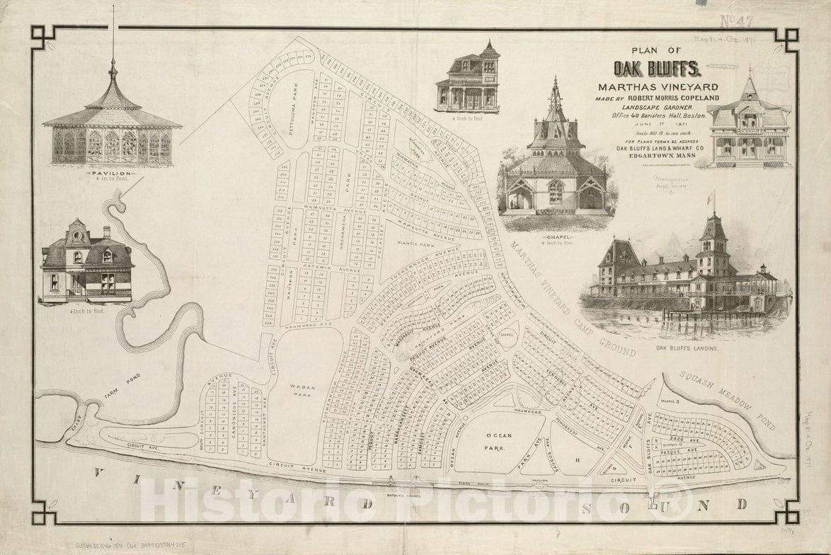 Historical Map, 1871 Plan of Oak Bluffs, Marthas Vineyard, Vintage Wall Art