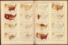 Historic 1898 Map - Statistical Atlas of The United States - Distribution of The Population of The United States (Excluding Indians not Taxed): 1870 & 1880