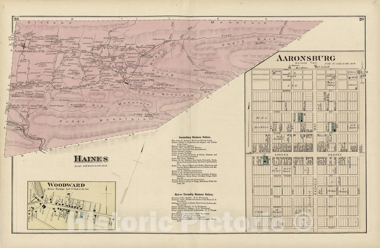 Historic 1874 Map Atlas of Centre County, Pennsylvania Haines; Aar