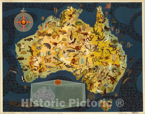 Map : Australia 1950, [Map of Australia showing Australian animals] , Antique Vintage Reproduction
