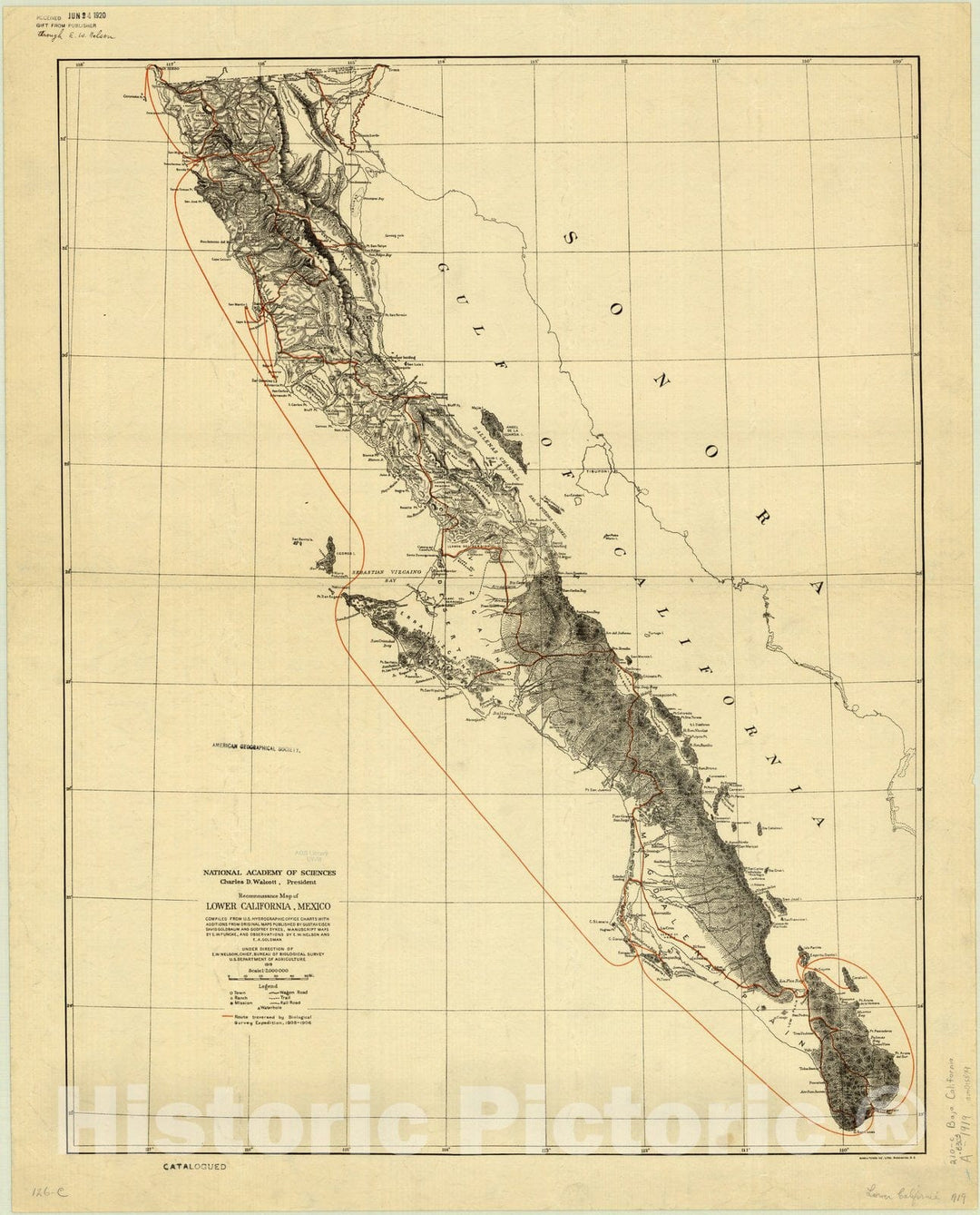 Map : Baja California, Mexico 1919, Reconnoissance [sic] map of lower California, Mexico , Antique Vintage Reproduction