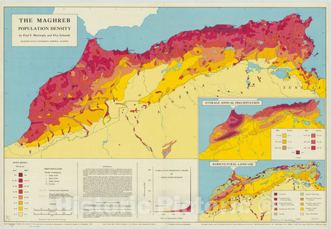 Map : North Africa 1971, The Maghreb: Population density. , Antique Vintage Reproduction
