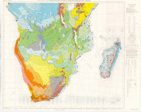 Map : Africa 1981 1, Vegetation map of Africa, Carte de Vegetation de l'Afrique , Antique Vintage Reproduction