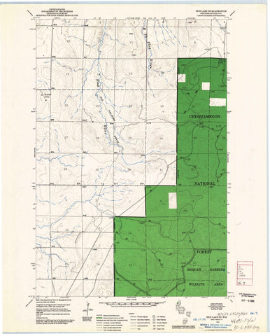1961 Iron Lake, WI - Wisconsin - USGS Topographic Map