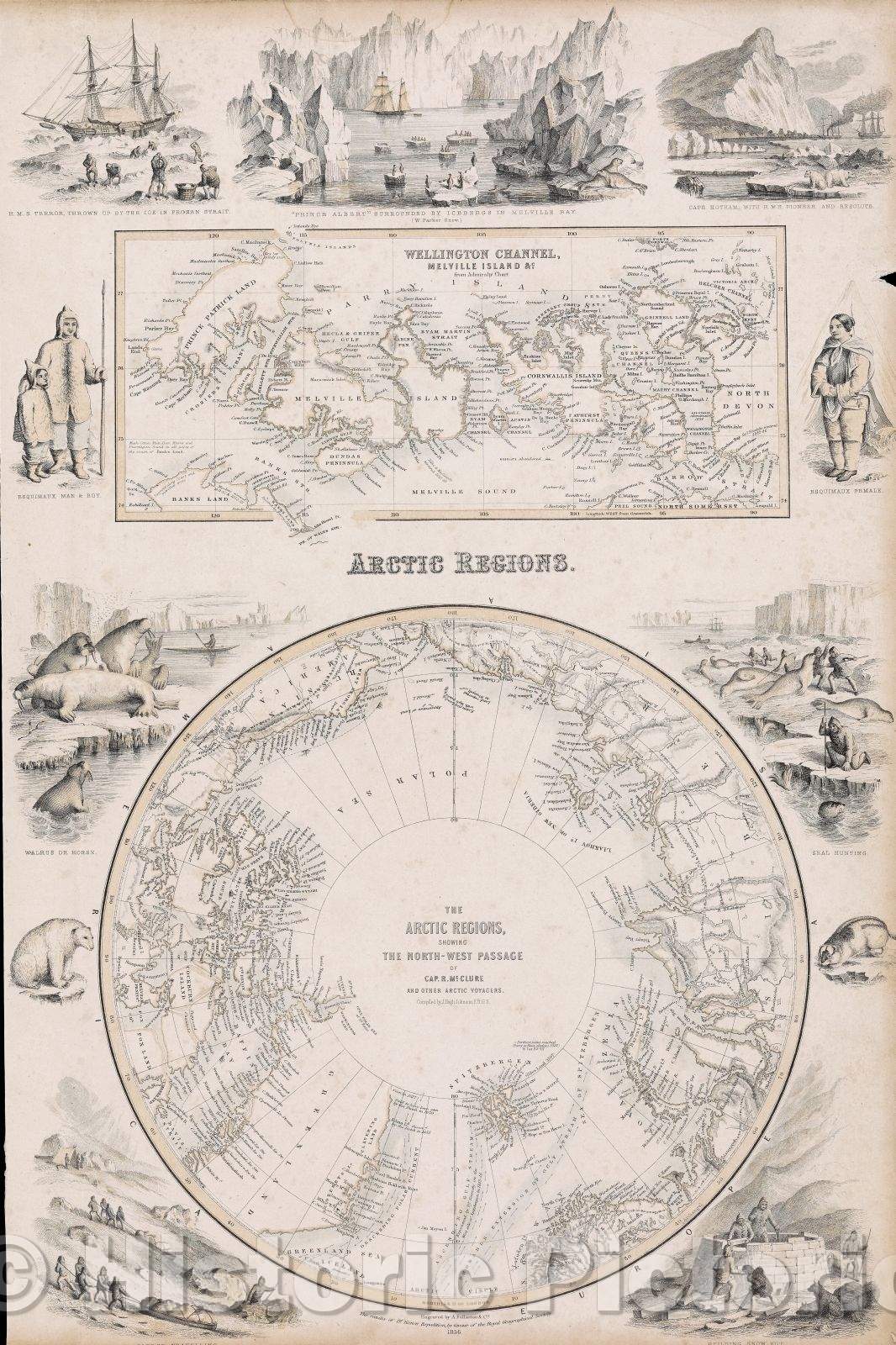 Historic Map : The arctic regions : showing the north-west passage as determined by Cap. R. McClure and other arctic voyagers, 1856 , Vintage Wall Art