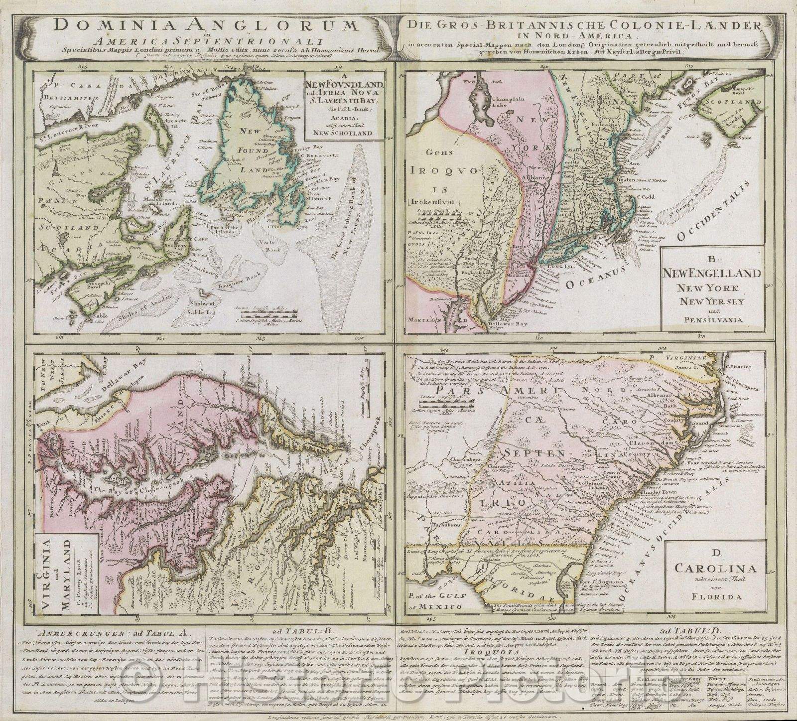 Historic Map : Domina Anglorum in America Septentrionali, 1737 , Vintage Wall Art