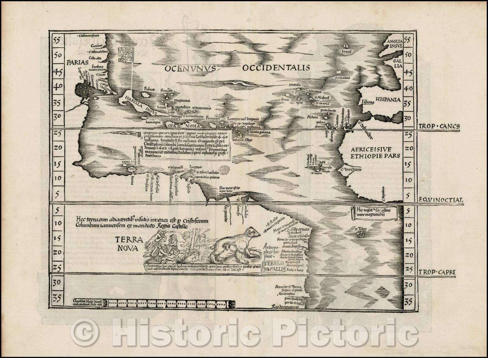 Historic Map - Oceani Occidentalis Seu Terrae Novae Tabula The Admiral's Map, 1522, Lorenz Fries v1