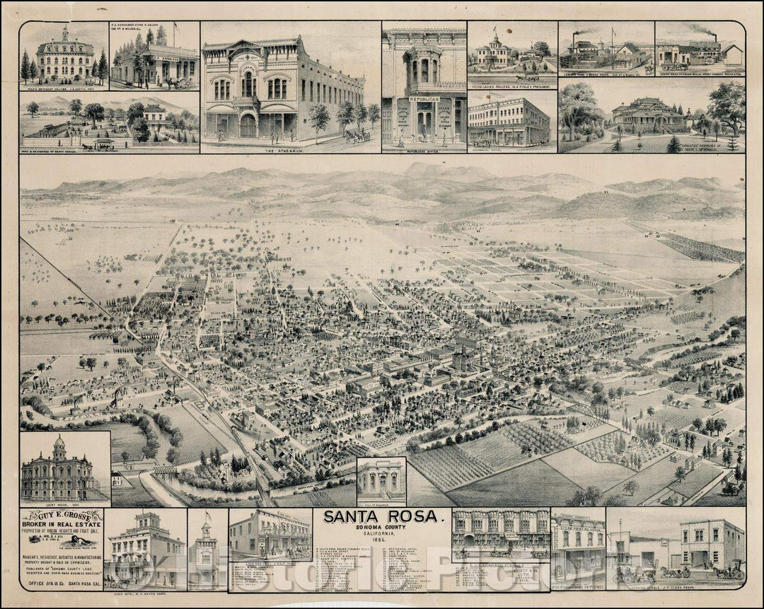 Historic Map - Santa Rosa, Sonoma County, California, 1885, W.W. Ellio ...