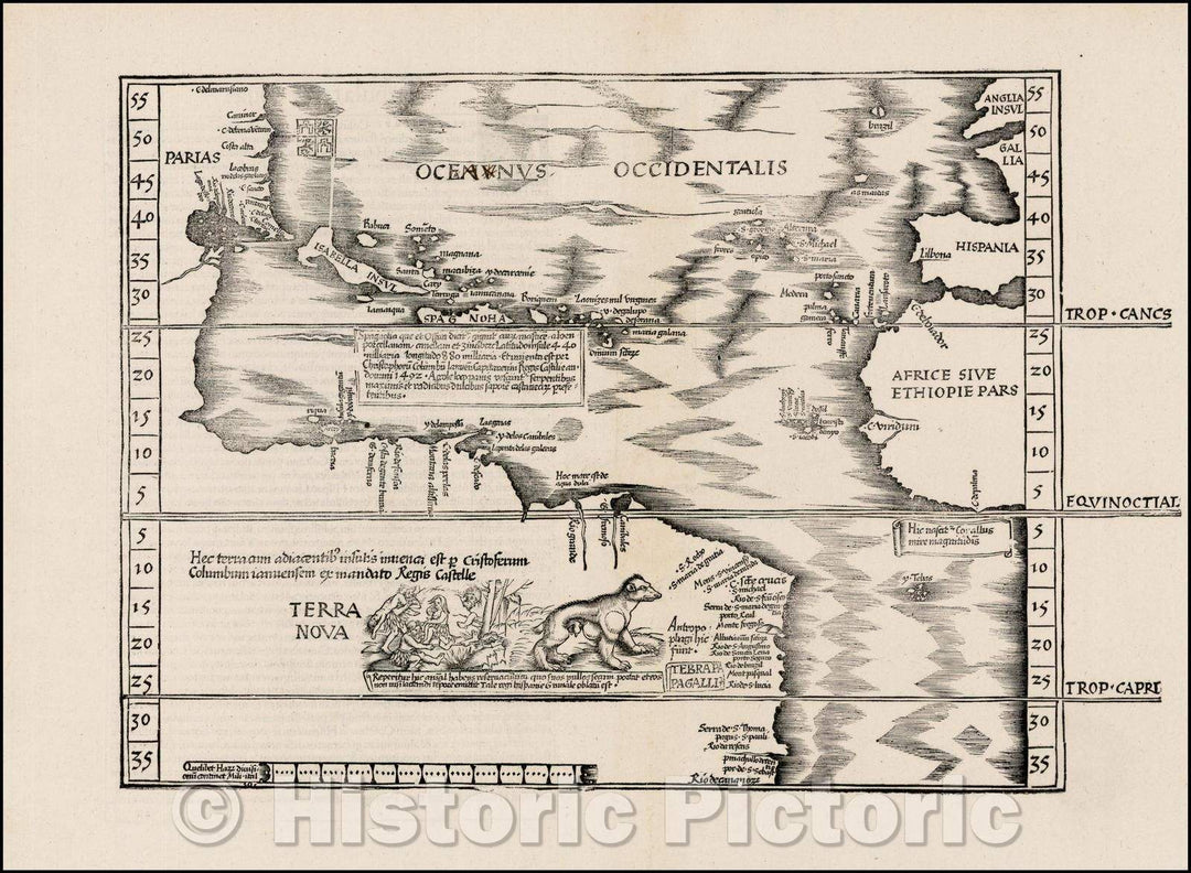 Historic Map - Oceani Occidentalis Seu Terrae Novae Tabula The Admiral's Map, 1541, Lorenz Fries v1