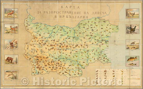 Historic Map - Bulgarian language: Hunting & Fishing Map of Bulgaria, 1957, Bulgarian Department of Hunting & Fishing - Vintage Wall Art
