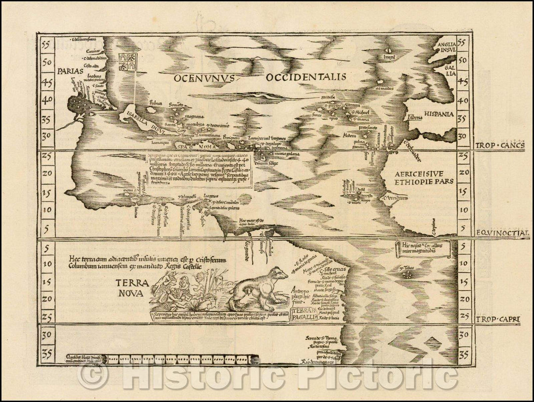 Historic Map - Oceani Occidentalis Seu Terrae Novae Tabula The Admiral's Map, 1522, Lorenz Fries v2