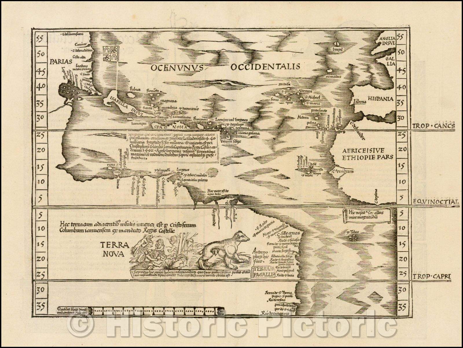 Historic Map - Oceani Occidentalis Seu Terrae Novae Tabula The Admiral's Map, 1522, Lorenz Fries v2