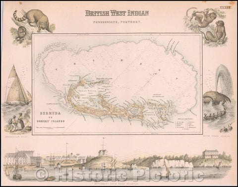 Historic Map - Bermuda or Somer's Island, 1860, Archibald Fullarton - Vintage Wall Art