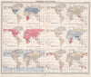 Historic Map : Plate 4. Mammalia - Insectivora (Insectivores); Carnivora (Carnivores)., 1911, Vintage Wall Decor