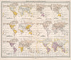 Historic Map : Plate 14. Aves, (Birds) - Coraciiformes, Psittaciformes, Strigiformes., 1911, Vintage Wall Decor
