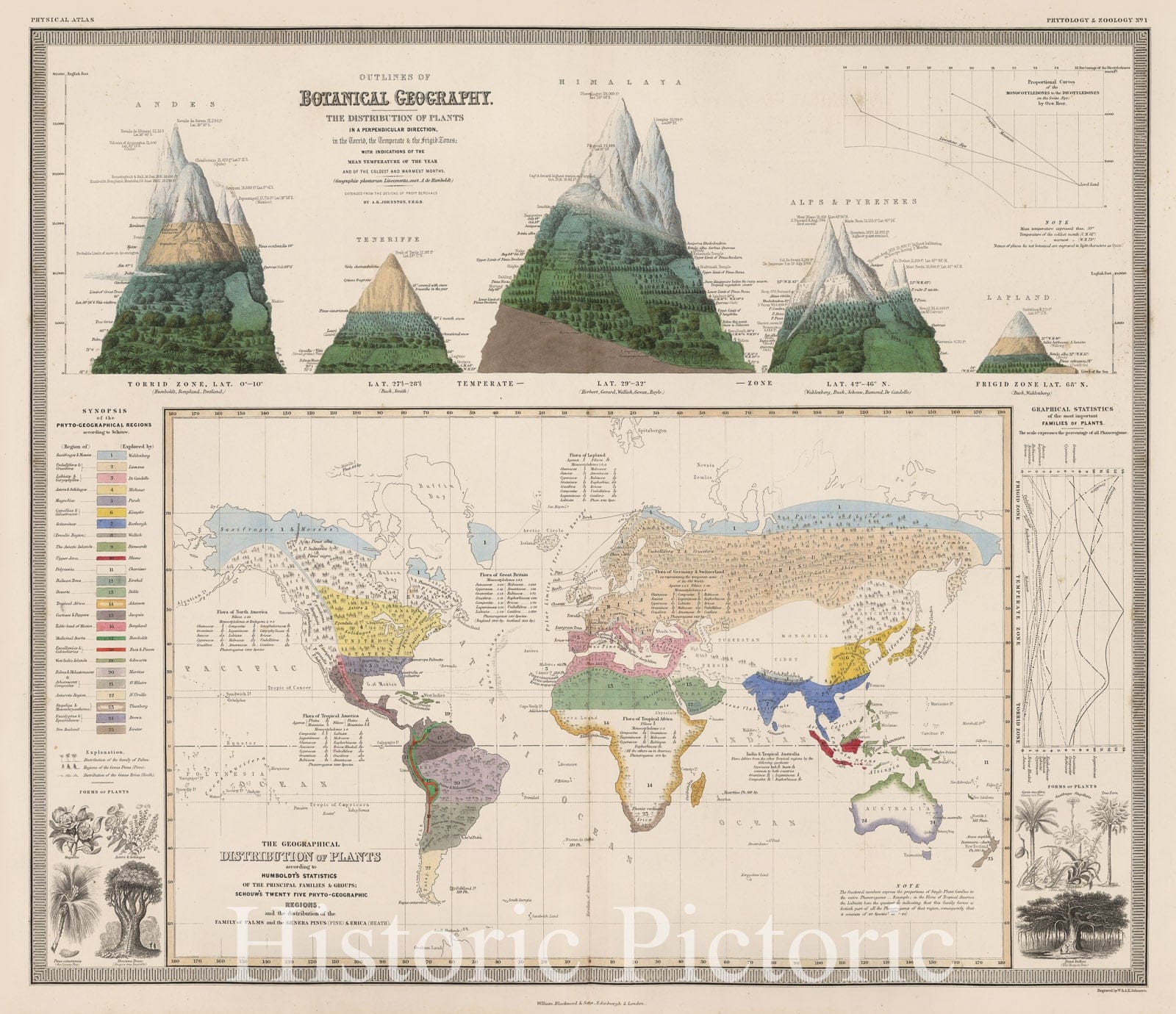 Historic Map : Geographical Distribution of Plants. Distribution of Plants in a Perpendicular Direction., 1850, Vintage Wall Decor